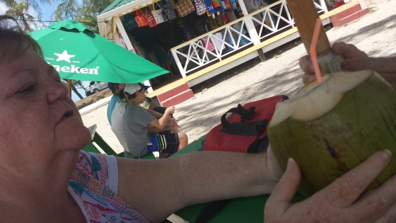Coconuts in St Lucia